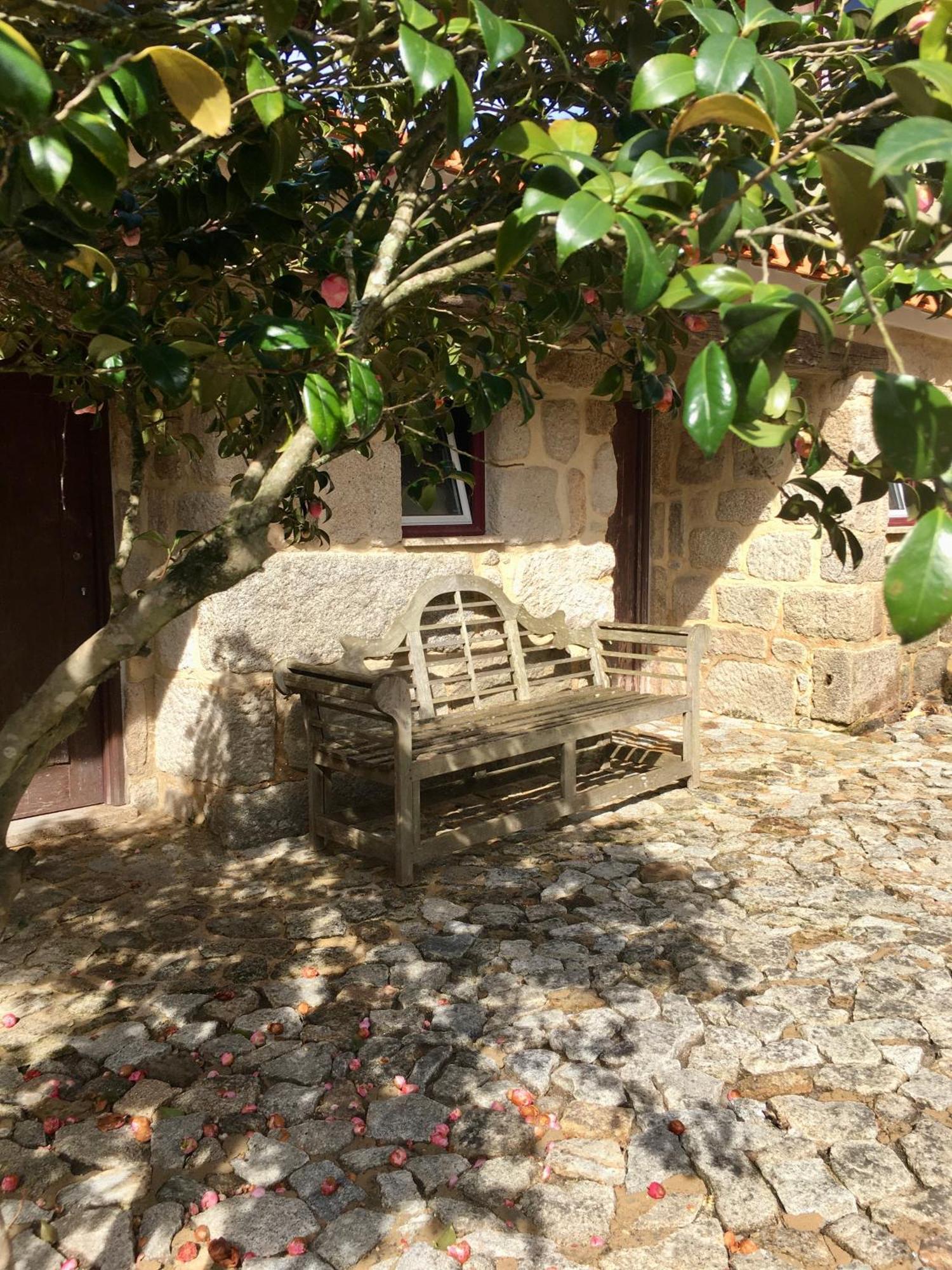 Quinta De Mocamedes - Turismo De Habitacao Hotel Vouzela Kültér fotó