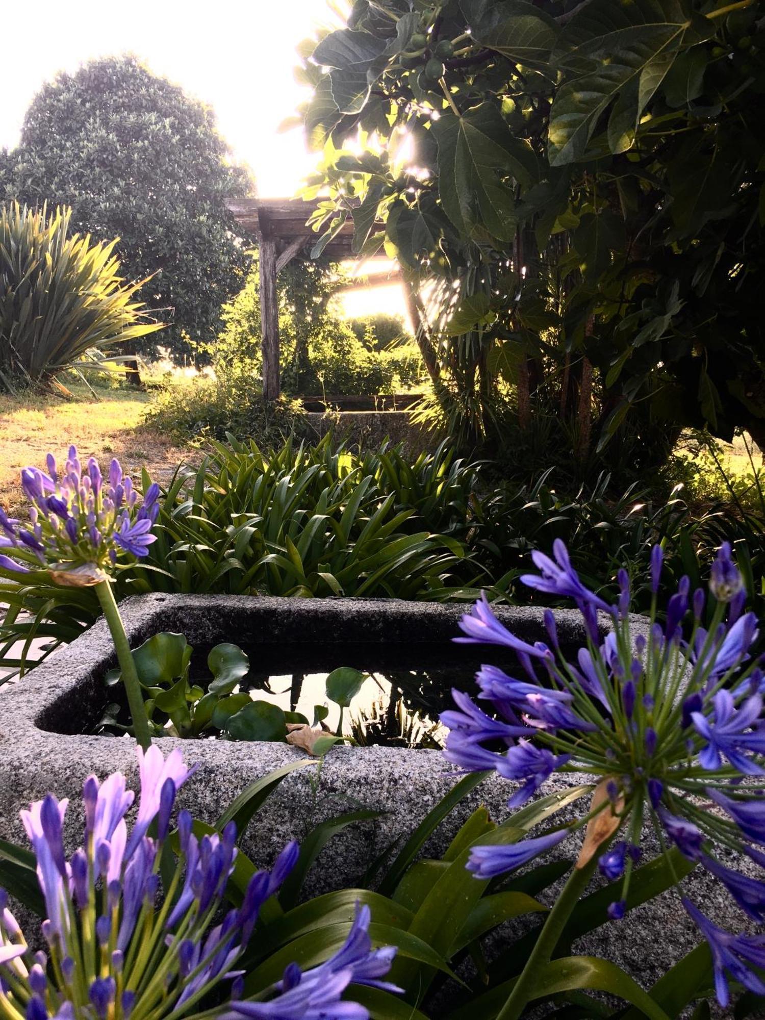 Quinta De Mocamedes - Turismo De Habitacao Hotel Vouzela Kültér fotó
