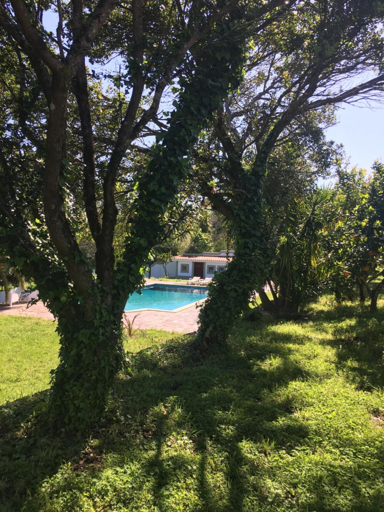 Quinta De Mocamedes - Turismo De Habitacao Hotel Vouzela Kültér fotó