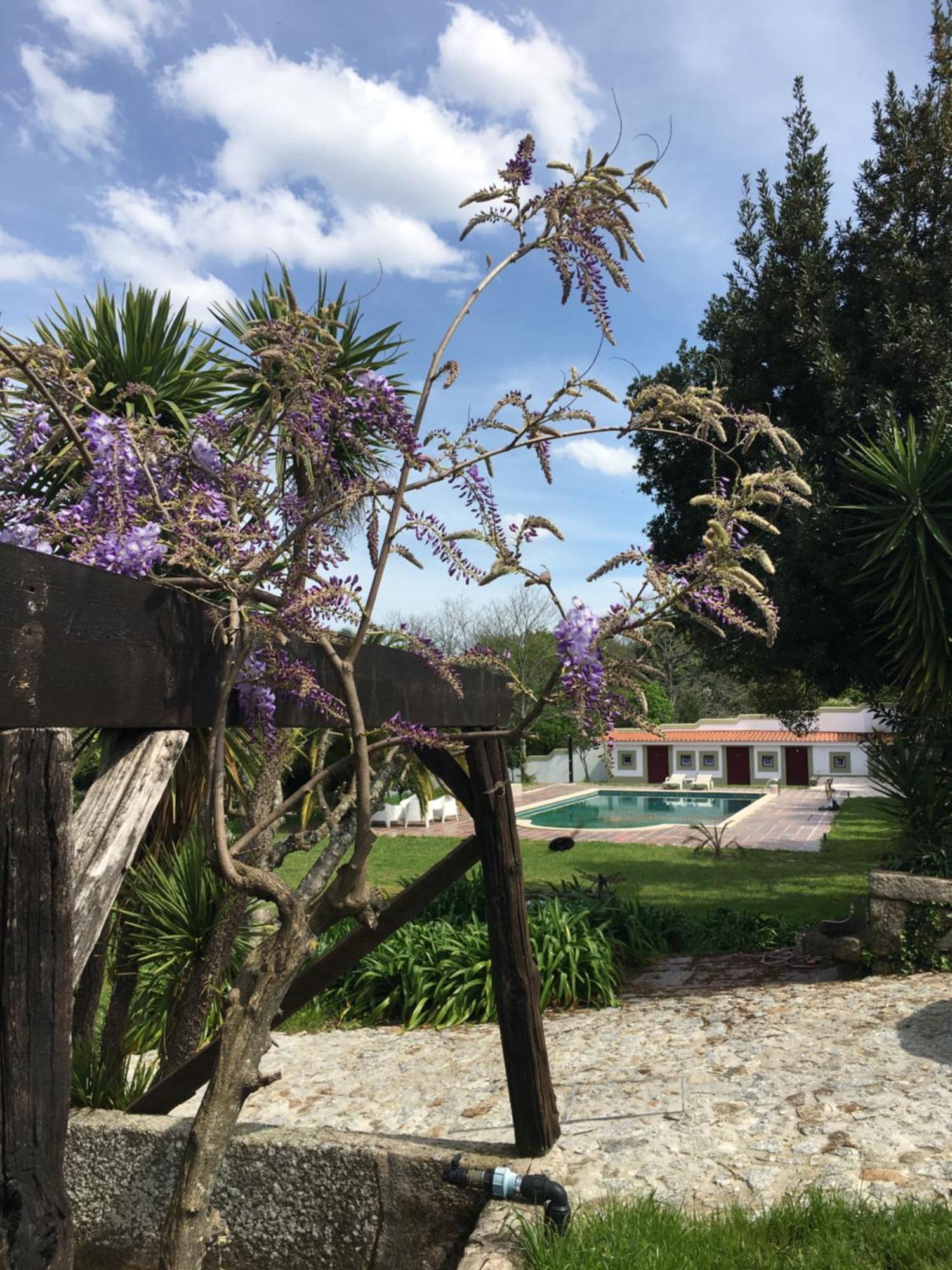 Quinta De Mocamedes - Turismo De Habitacao Hotel Vouzela Kültér fotó